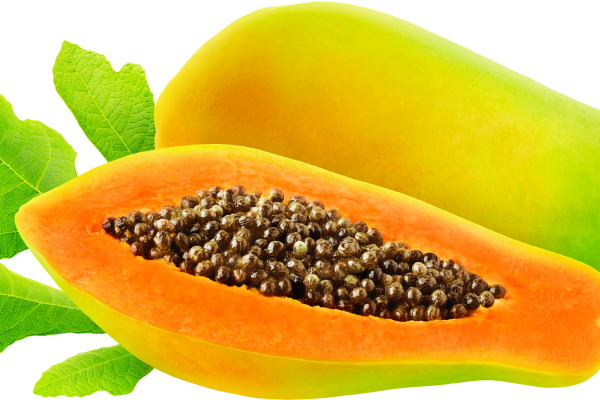 Unripe papaya side effects for ladies
